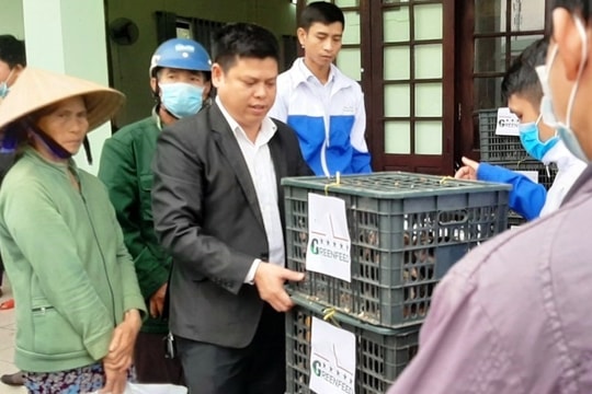 Trao tặng sinh kế cho người dân vùng lũ Đại Lộc