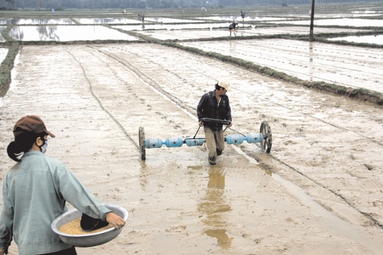 Điệp khúc mùa màng