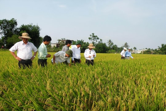 Hỗ trợ nông dân thi đua sản xuất, kinh doanh giỏi