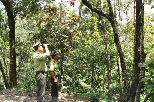 Thành lập Vườn quốc gia Sông Thanh