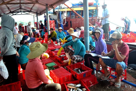 Phát triển nghề cá có trách nhiệm