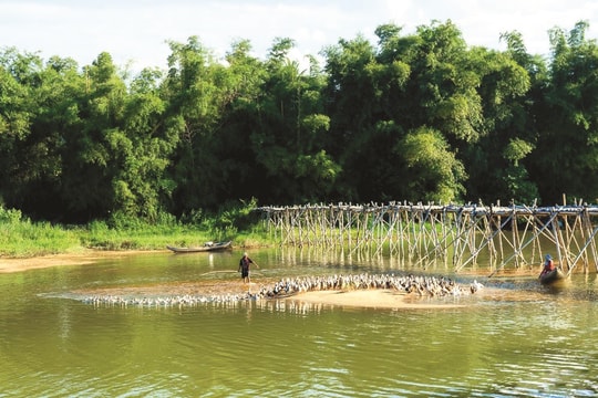 Cội nguồn sức sống làng quê xứ Quảng