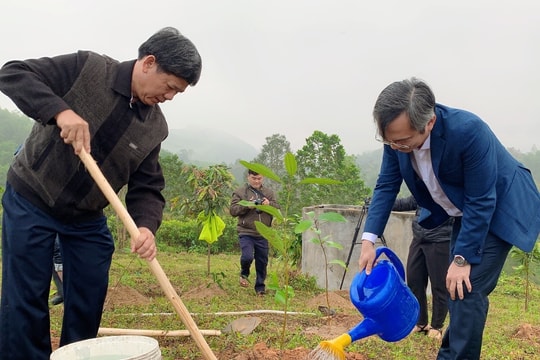 Bắc Trà My phát động trồng, khôi phục cây bản địa