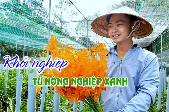 [VIDEO] - Khởi nghiệp từ nông nghiệp xanh