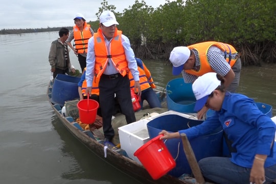 Thả 5.000 con giống thủy sản xuống cửa biển An Hòa