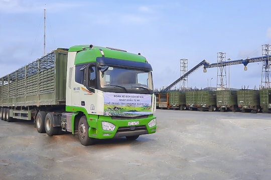 Thilogi vận chuyển bò nhập khẩu cho Vinamilk