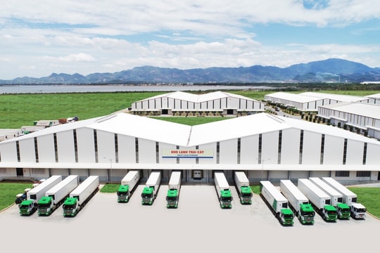 Logistics trọn gói cho nông nghiệp – THILOGI góp phần mang nông sản việt ra thế giới