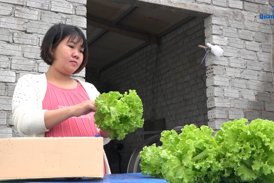 [VIDEO] - Khởi nghiệp từ Dream Garden