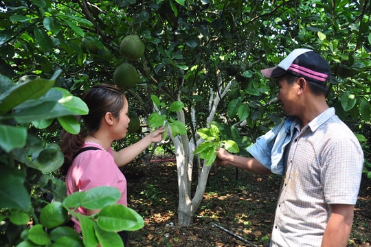 Đổi mới hoạt động cơ quan dân cử