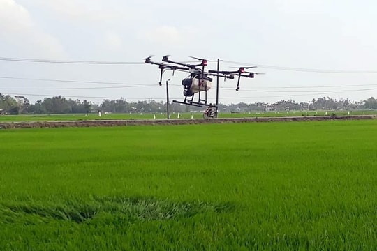 Phun thuốc trừ sâu bằng máy bay không người lái: Giảm chi phí sản xuất, bảo vệ sức khỏe nông dân