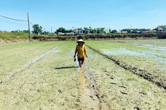 Duy Xuyên ứng phó nhiễm mặn