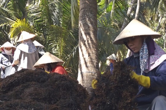Thoát nghèo từ vốn vay cho vùng bảo tồn rạn san hô Tam Hải