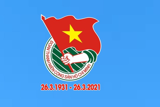 Có 306 cán bộ đoàn được bầu vào cơ quan dân cử