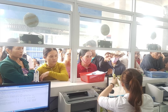 Phổ biến nghị định, thông tư hướng dẫn Luật Đấu thầu và Luật Dược