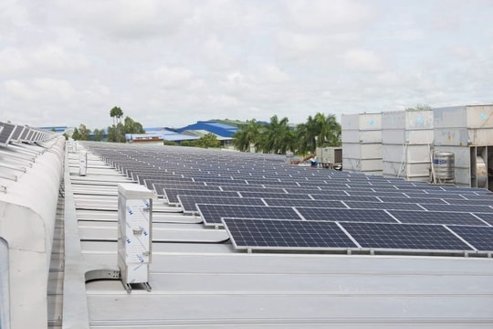 Khởi động dự án an ninh năng lượng đô thị Việt Nam tại Đà Nẵng