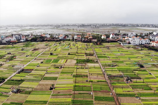 Du lịch nông nghiệp - nông thôn cần một "cú hích"