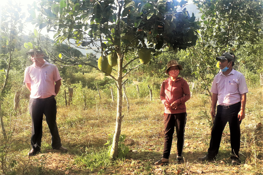 Vùng cao Nam Giang làm theo Bác