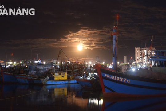 Thông báo các chủ tàu cá đang hoạt động trên biển tạm không vào cảng cá Thọ Quang