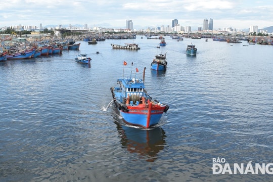 Nhiều hoạt động tại cảng cá Thọ Quang trước giờ đóng cửa