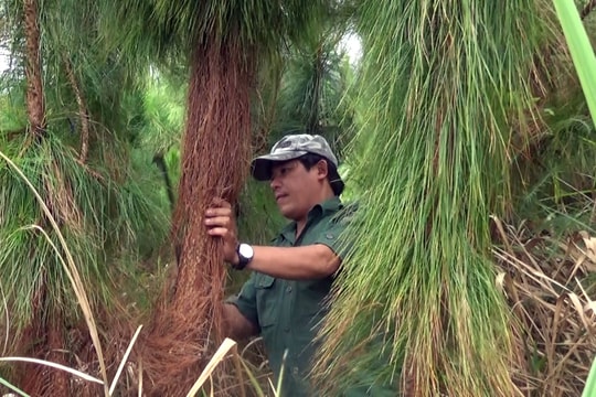 Người Xê Đăng ứng xử với rừng