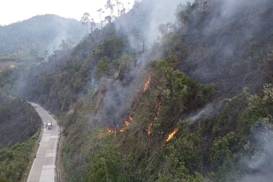 Cháy rừng trên đường Hồ Chí Minh thuộc địa phận Phước Sơn