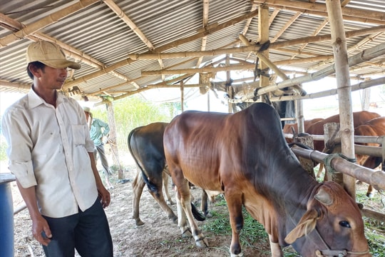 Quỹ Tín dụng nhân dân Tây Điện Bàn: Đồng hành với thành viên