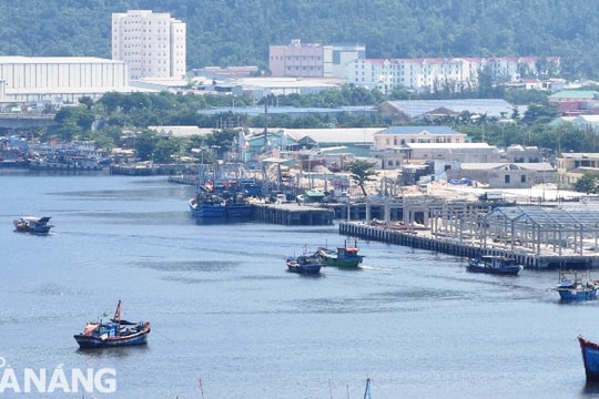 Các tàu cá cập, rời cảng cá Thọ Quang bảo đảm đúng quy định