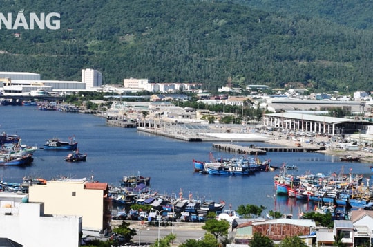 Sẵn sàng phương án đưa cảng cá Thọ Quang hoạt động trở lại bảo đảm phòng, chống Covid-19