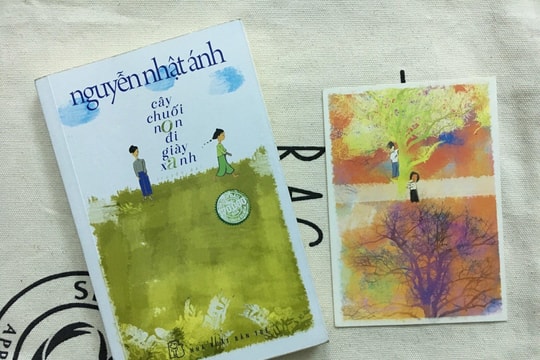 Bóng dáng người Quảng từ “Cây chuối non đi giày xanh”