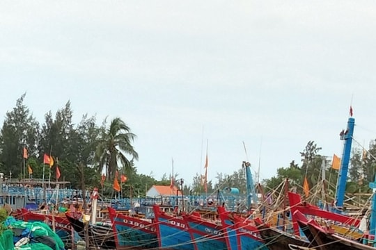 Xã Tam Tiến chủ động bảo vệ tàu thuyền, cá lồng bè tránh bão