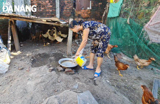 Chủ động phòng, chống sốt xuất huyết trong mỗi gia đình