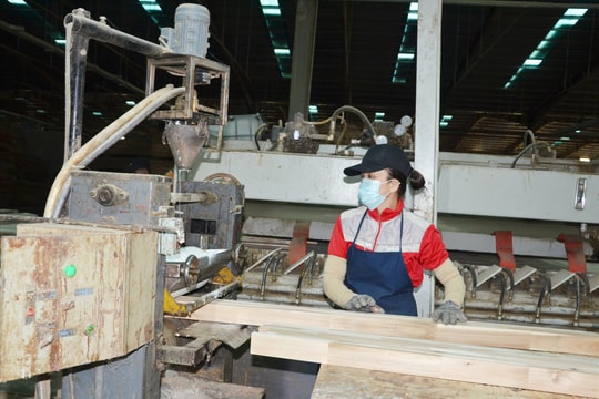 Ngành gỗ tăng trưởng bứt phá
