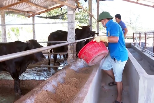 Tiếp tục giảm 10% mức thu phí cho vay Quỹ hỗ trợ nông dân