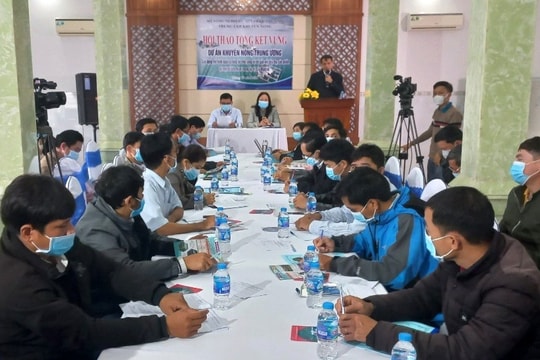 Nhân rộng nuôi cá lăng nha, thác lác cườm trong lồng bè