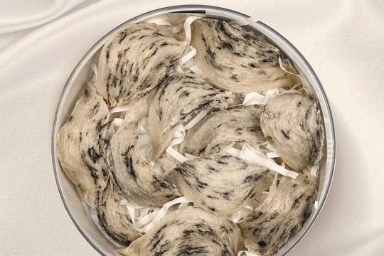 Tổ yến thô có bị làm giả không?