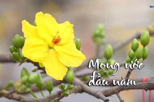 [VIDEO] - Mong ước đầu năm