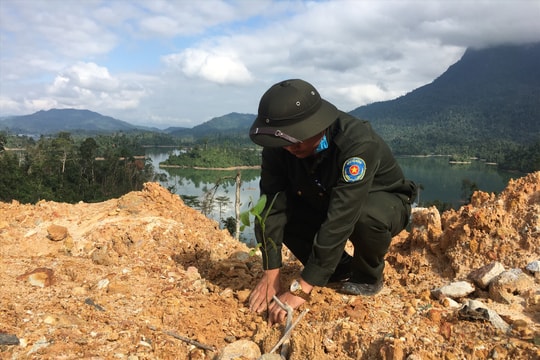 Các địa phương, đơn vị ra quân Tết trồng cây mừng xuân Nhâm Dần 2022