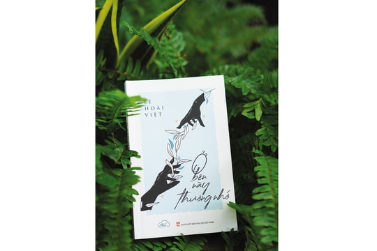 Những niềm thương nương vào câu chữ