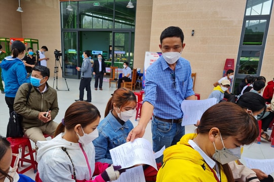 30 doanh nghiệp tham gia tuyển dụng lao động tại Nam Trà My