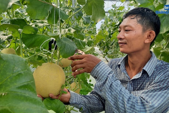 [VIDEO] - Khởi nghiệp với nông nghiệp công nghệ cao