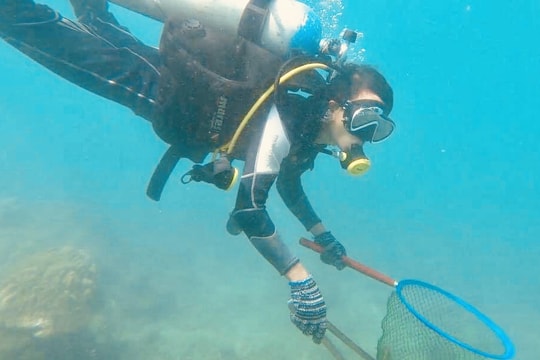 Khu dự trữ sinh quyển thế giới Cù Lao Chàm - Hội An: Tăng cường năng lực  thích ứng cho hệ sinh thái