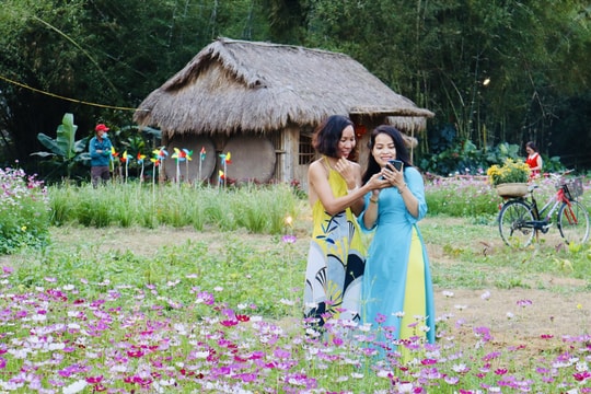 Ngày 24.3 khai trương làng du lịch cộng đồng Cẩm Phú - Gò Nổi