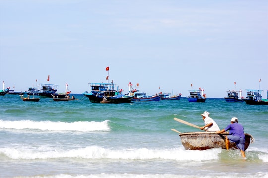 Hướng đến nghề cá có trách nhiệm