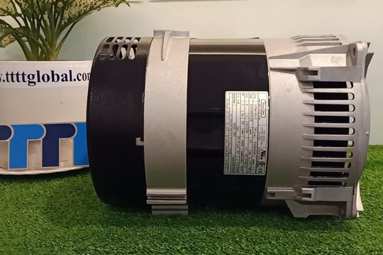 Giải pháp mua củ phát điện Made in Italy, 3kW và 5kW giá rẻ