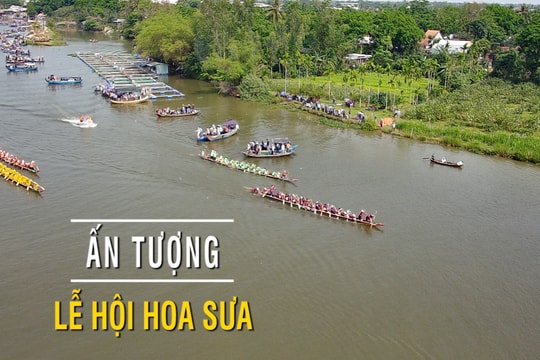 [VIDEO] - Ấn tượng lễ hội hoa sưa