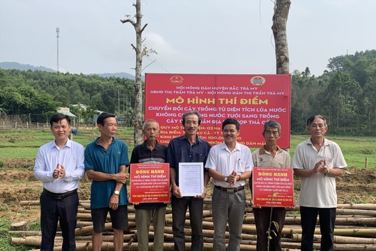 Bắc Trà My: Hỗ trợ 200 triệu đồng cho nông dân chuyển đổi cây trồng