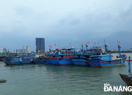 Tạm dừng thi công thí điểm để chuẩn bị nạo vét đại trà âu thuyền Thọ Quang