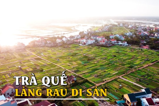 [VIDEO] - Trà Quế, làng rau di sản