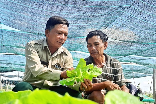 Gương sáng cựu chiến binh