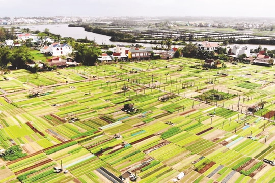 Tra Que vegetable heritage village